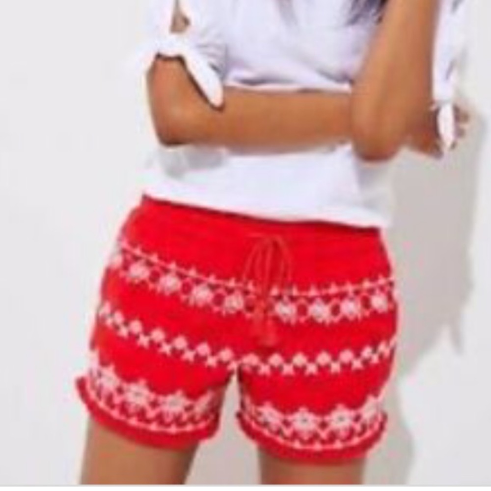 Loft Embroidered Shorts - Picture 2 of 9
